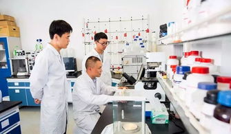 中國制造業第一縣聚力互聯網銷售轉型，新華日報頭版頭條聚焦產業升級新篇章