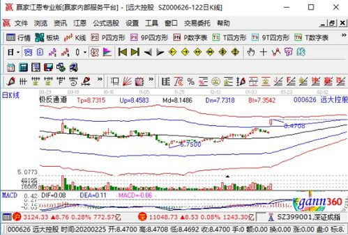 遠達控股強勢漲停，業(yè)績大幅預增與國內(nèi)貿(mào)易代理業(yè)務成關鍵驅(qū)動力